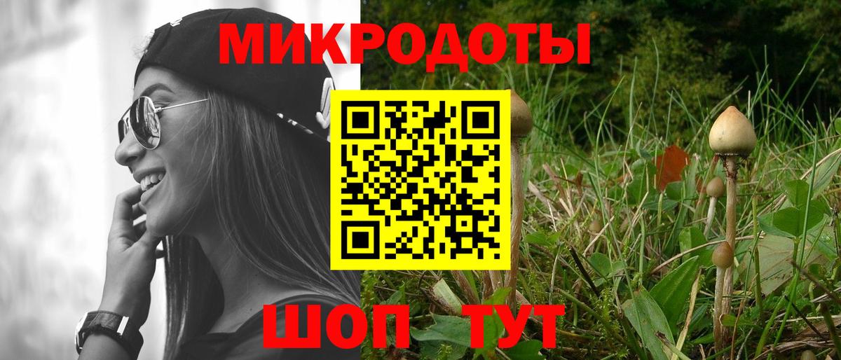Псилоцибиновые грибы Cubensis Кольчугино