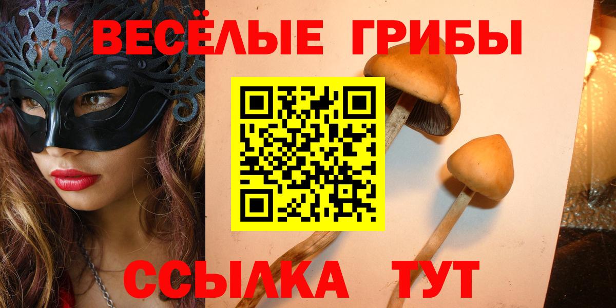 Кольчугино  Псилоцибиновые грибы ЛСД  Вход с VPN 